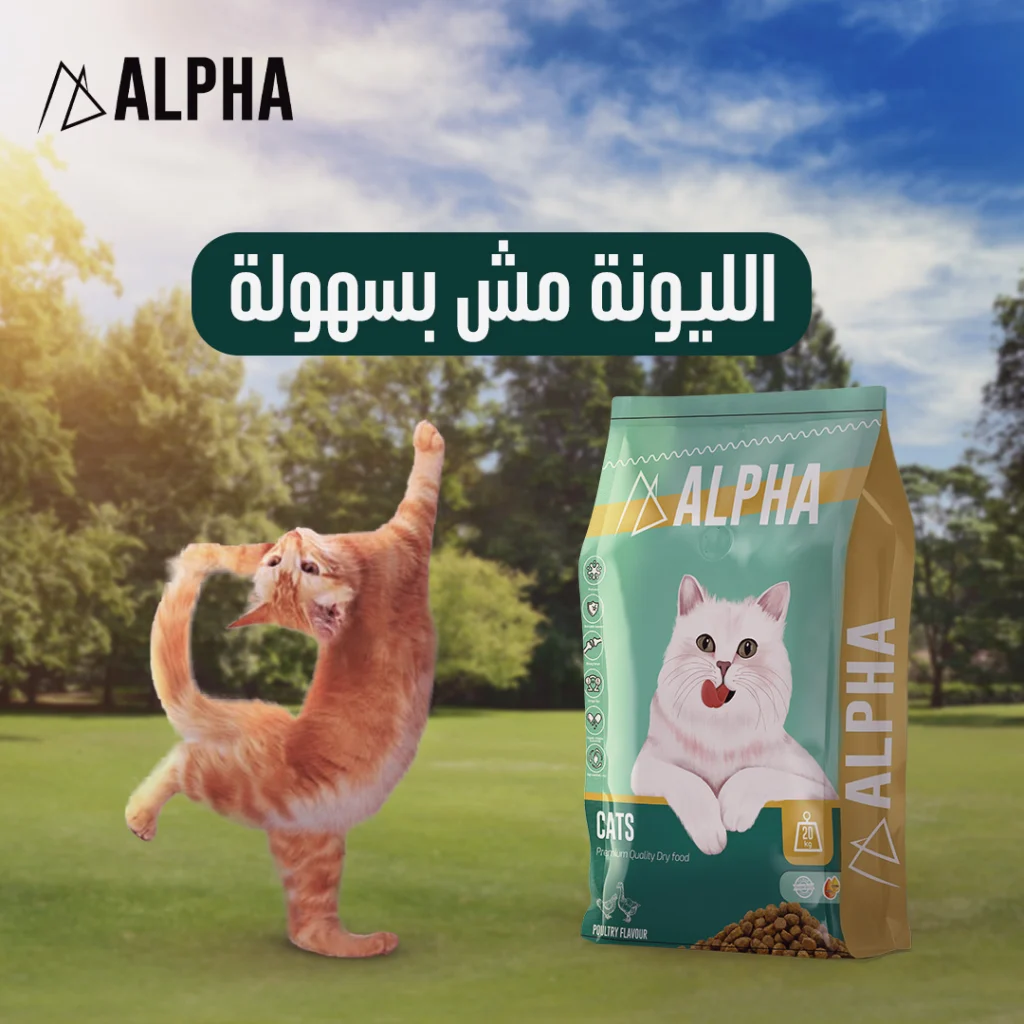 Alpha Social Media (2)
