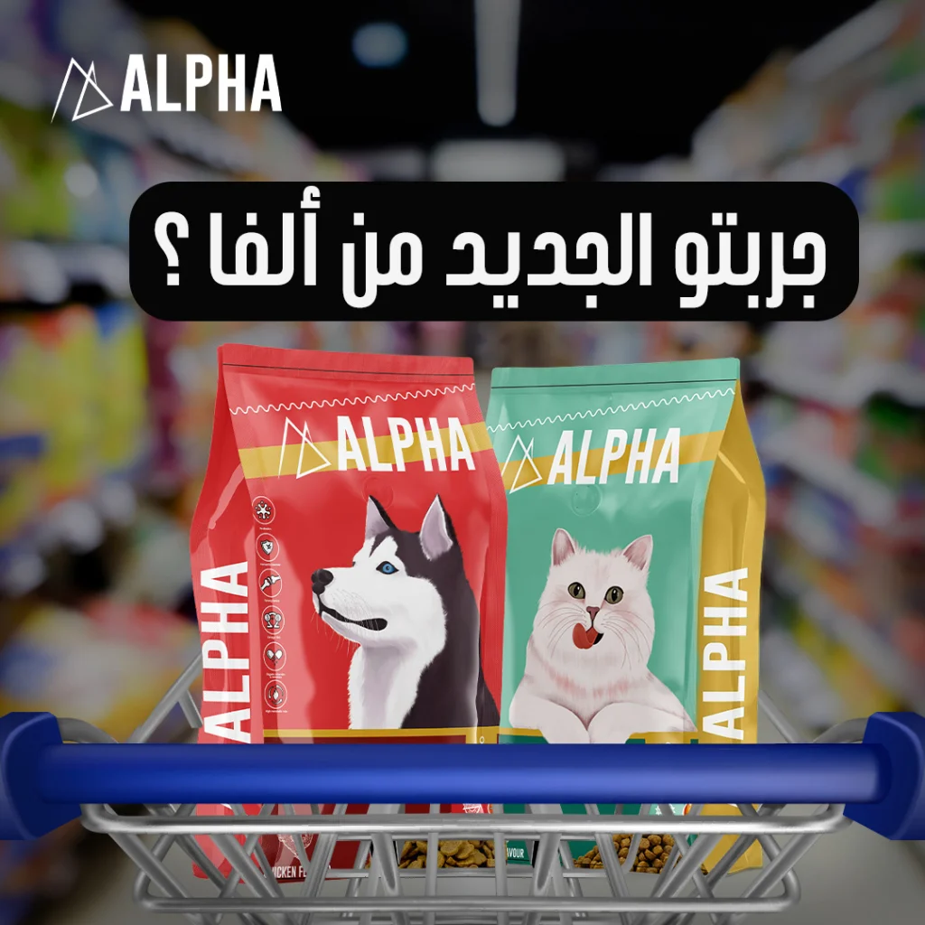 Alpha Social Media (7)