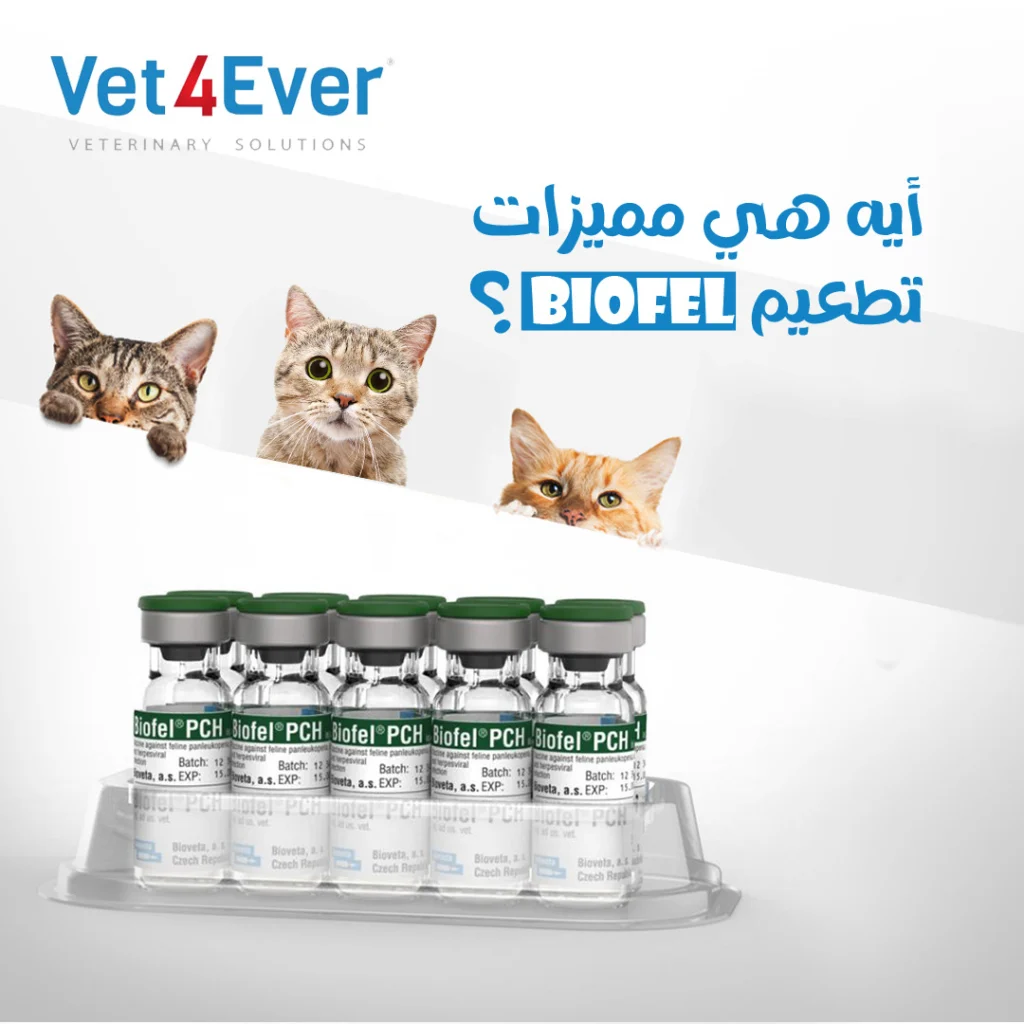 Vet4ever Social Media (19)