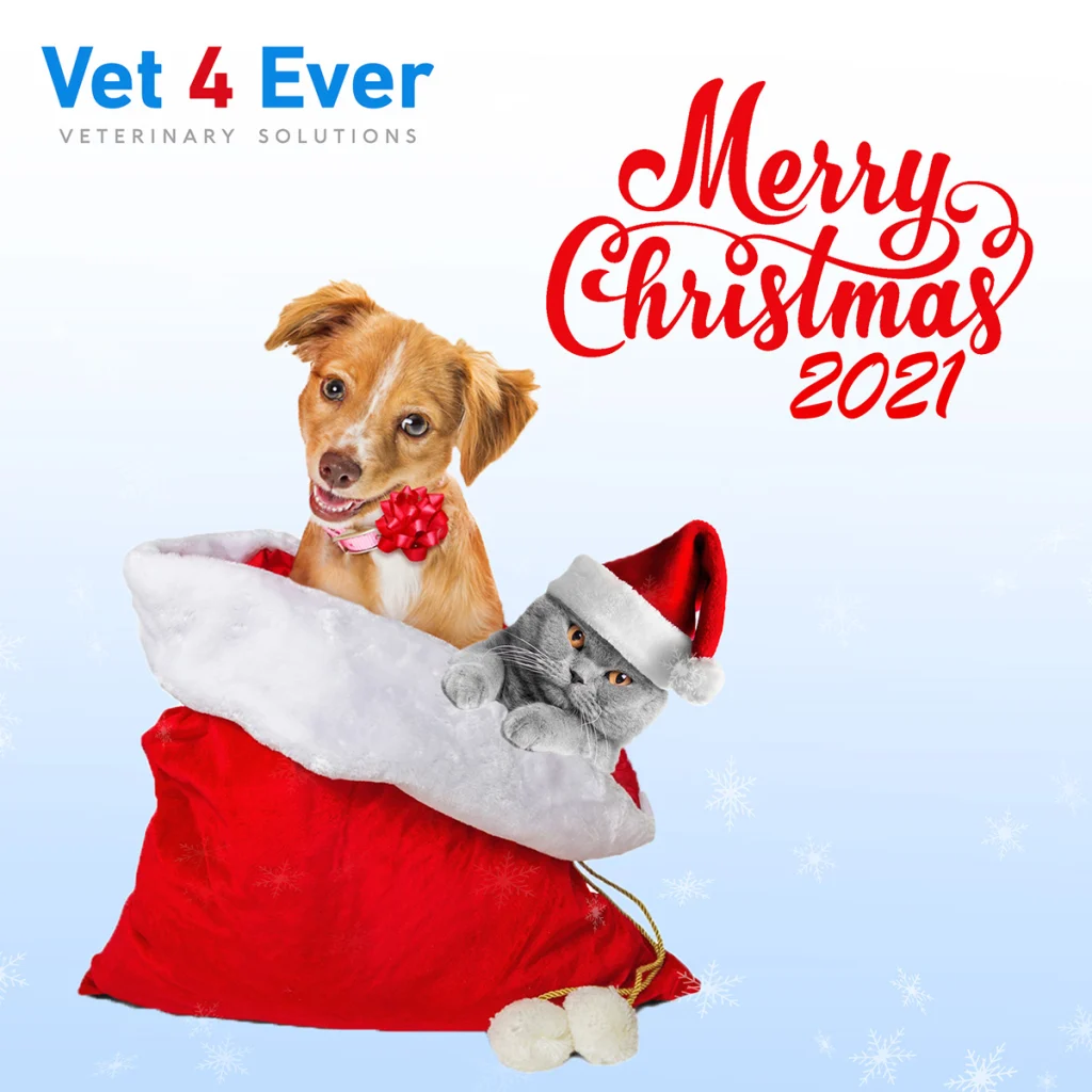 Vet4ever Social Media (8)
